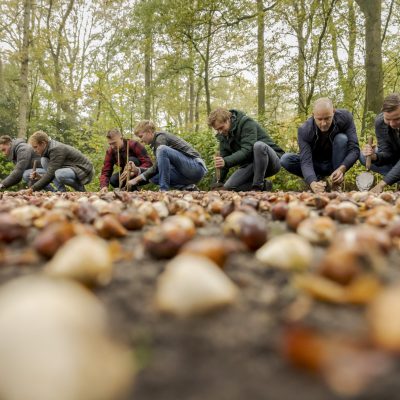 Dagtocht Keukenhof