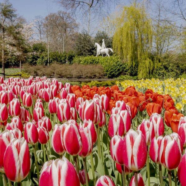 Dagtocht Nederland