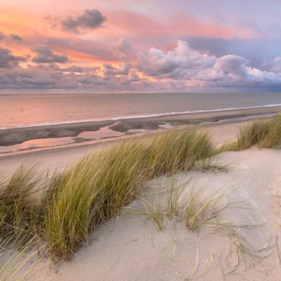 Dagtocht Schiermonnikoog